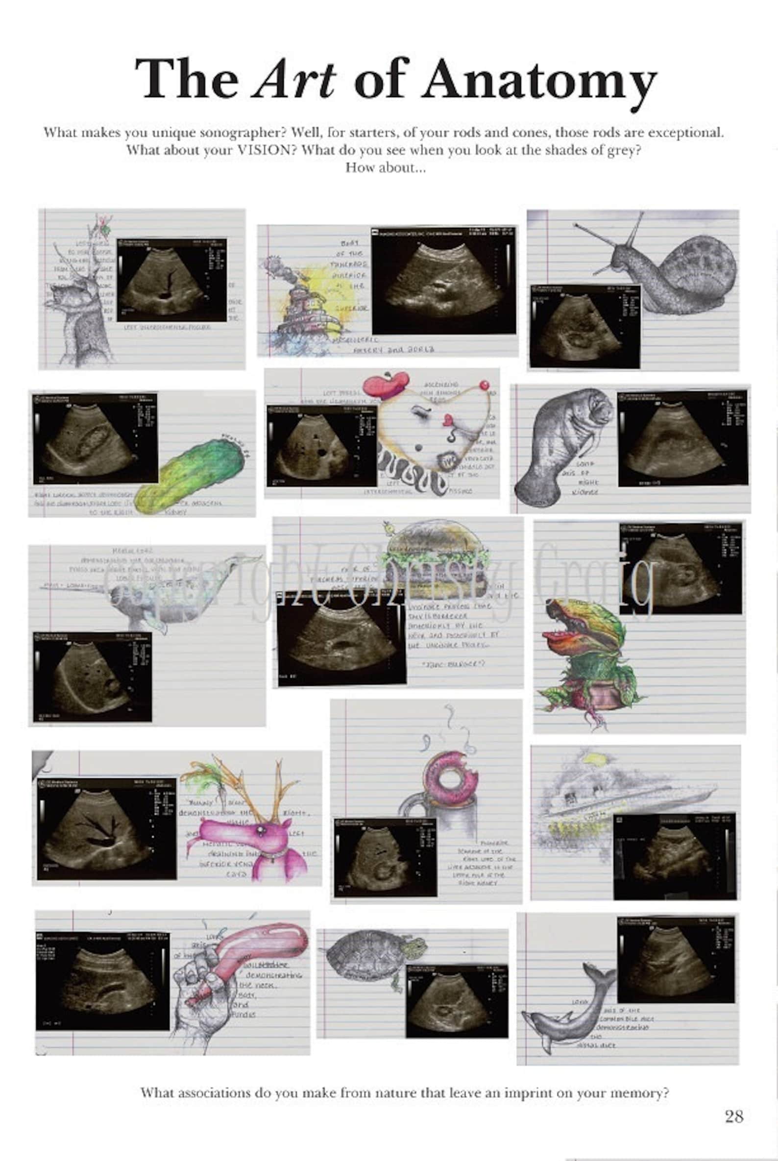 The Art of Anatomy Print - Etsy