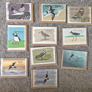 Pack of 10 Orkney Bird Cards