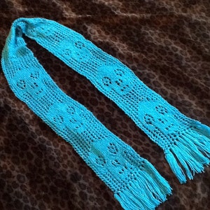 May include: A turquoise blue crocheted scarf with fringe on the ends.