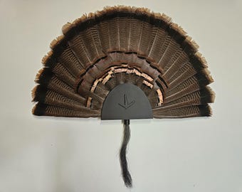 Turkey Fan Mount - Lightweight & NO Drilling Needed