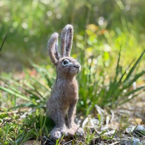 Puede incluir: Una figura de conejo de fieltro marrón hecha a mano con orejas largas, sentada erguida en un entorno natural al aire libre. El conejo tiene detalles y está rodeado de hierba verde y follaje.