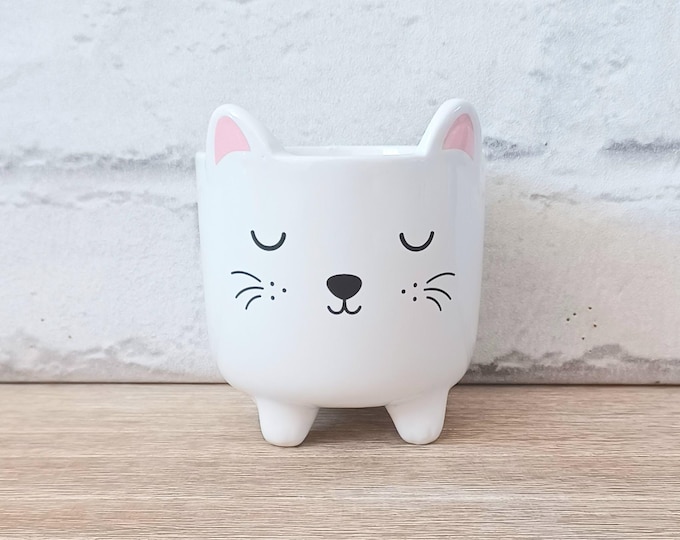 Mini Small Cat Face Planter Flower Plant Pot Home Decor Garden Gardening Pet Parent Lover Cute Thank You Gift Kittens Present Kitten Cats