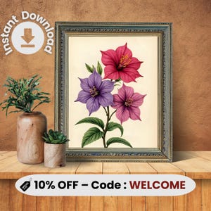 Arte mural botánico de buganvillas – Impresión vintage de flores tropicales – Póster floral rosa, morado y rojo – Descarga instantánea para decoración del hogar