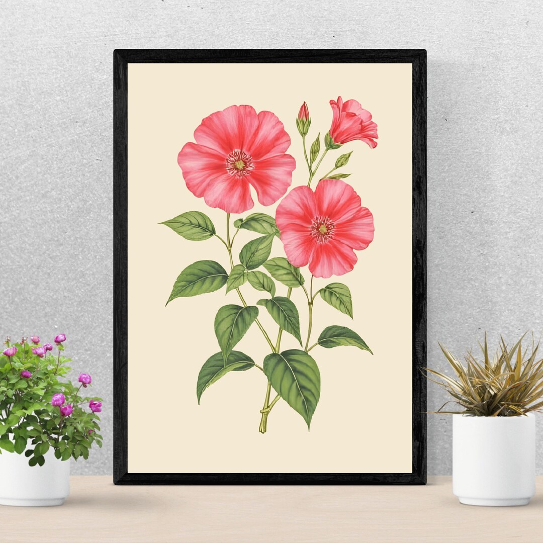 Romantic Petunia Wall Art | Blush Pink Botanical Print | Boho Floral ...