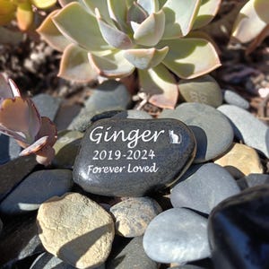 May include: A memorial stone inscribed with "Ginger", dates 2019-2024, and "Forever Loved" in white. A cat silhouette is included. The stone rests among pebbles and succulents, creating a natural setting.