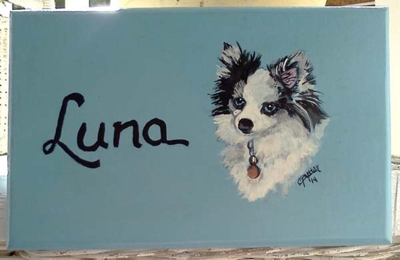 Namensschilder für Tier Kisten Hund Katze Haustier Kiste Name Etsy