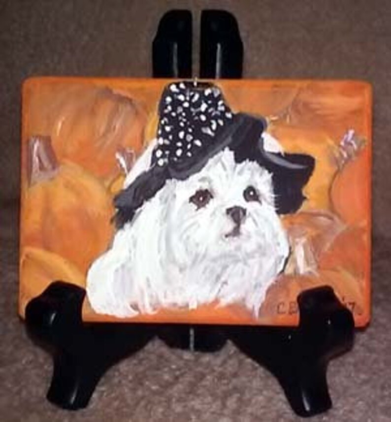 May include: A white Maltese dog wearing a black hat with white polka dots, sitting in a pile of orange pumpkins. The dog is looking directly at the viewer.