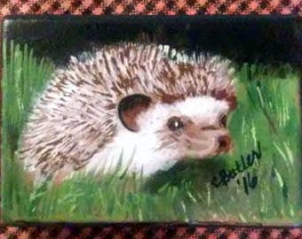 Hedgehog ACEO, small portrait of pet , aceo magnet, aceo on easel, art trading card, collectible art, small art, acrylic, hedgehog