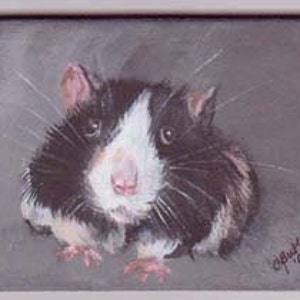 Rat, aimant ACEO, aceo aimant, 2 x 3 petit portrait animaux, aceo sur chevalet, cartes à collectionner art, art collection, petit art, rat noir et blanc