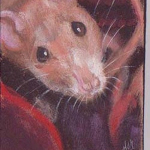 Animal de compagnie Rat, Bright Eyes, ACEO aimant, cartes à collectionner art, portrait de rat, art abordable,, art collection, petite art,