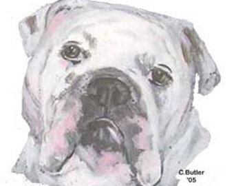 Custom Bulldog Pet Treat Jar, handpainted pet treat jar, glass jar, portrait of pet on  treat jar, white builldog