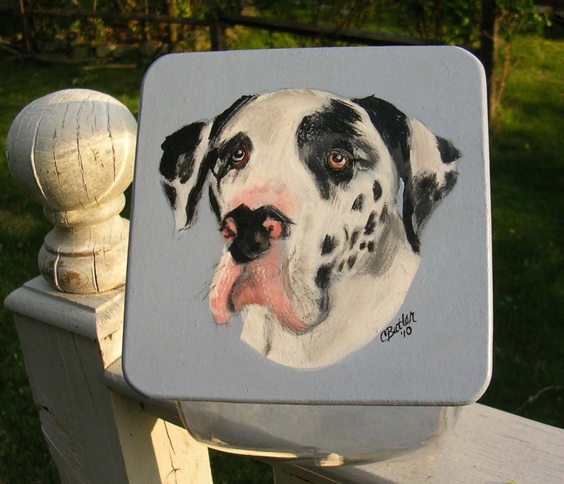 Custom Great Dane Treat Jar, handpainted pet treat jar, custom airtight lid for pet treat jar, glass jar, portrait of pet on treat jar image 1