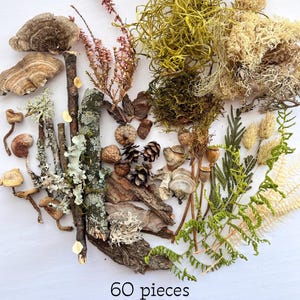 May include: A complete terrarium starter kit with 60 pieces. The kit includes various natural elements such as mushrooms, bark, moss, twigs, and dried plants. The text "terrarium complete starter kit" and "60 pieces" are visible.