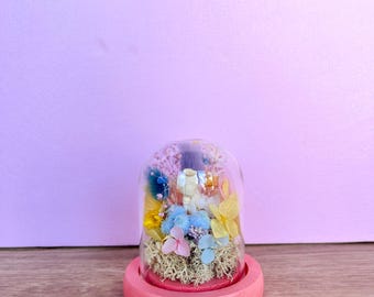 May include: A glass dome on a pink wooden base, showcasing a miniature garden of dried flowers and moss. The arrangement features blue, yellow, and pink blooms. The dome is set on a round, painted base, creating a charming display.