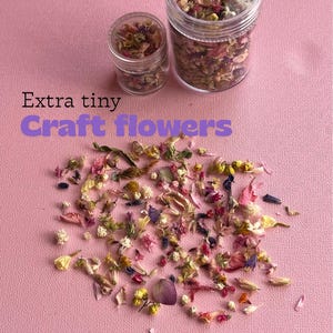 Extra Tiny Dried Flowers, Colorful Small Flowers for Crafting and Jewelry Making