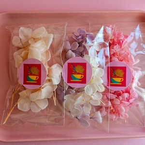 Hortensienblüten | Konservierte Blumen | Kleine Blumen zum Basteln | Handwerk Miniblumenmix | Fotografie flach legen Requisiten | Bunte getrocknete Blütenblätter