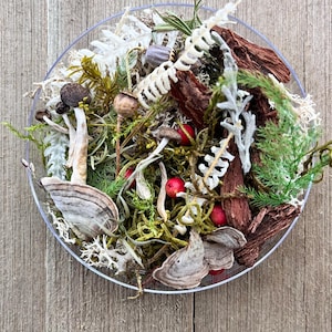 May include: A clear, circular terrarium containing natural elements. It features mushrooms, moss, small red berries, white and green foliage, and bark pieces. The terrarium is displayed on a wooden surface.
