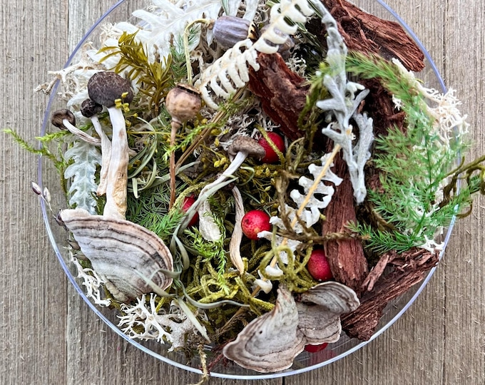Fairy Garden and Terrarium 30 Piece Starter Kit, Miniature landscape, Moss, Dried mushrooms, Tree bark,Small size, Reindeer moss, Lichen