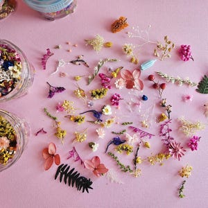 Minibloemenmix voor harsambachten, boerderij verse gedroogde kleine bloemen, zeep maken en doe-het-zelfbenodigdheden, geconserveerde bloemen, sieraden maken, epoxyvoorraad