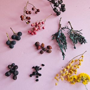 May include: Assortment of dried berries and flowers, including black berries, pink peppercorns, brown berries, yellow flowers, and blue berries.