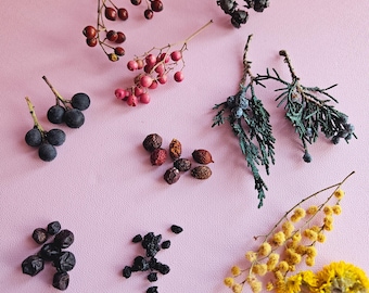 Mixed Dried Berry Craft Kit Jars | Juniper, Elderberry, Pepperberry, Tallow, Goji | Wreath, Candle Making Supplies | Holiday DIY Crafts |