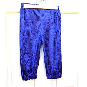 May include: Royal blue velvet pants hanging on a wooden hanger. The pants have a gathered elastic cuff at the ankle. The fabric has a textured appearance. The pants are displayed against a white background.
