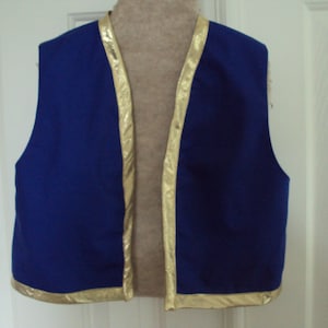 A  baby and   toddler Toad vest for Super Marrio, Aladdin style vest, genie vest  blue Toad vest  3mo. to T4