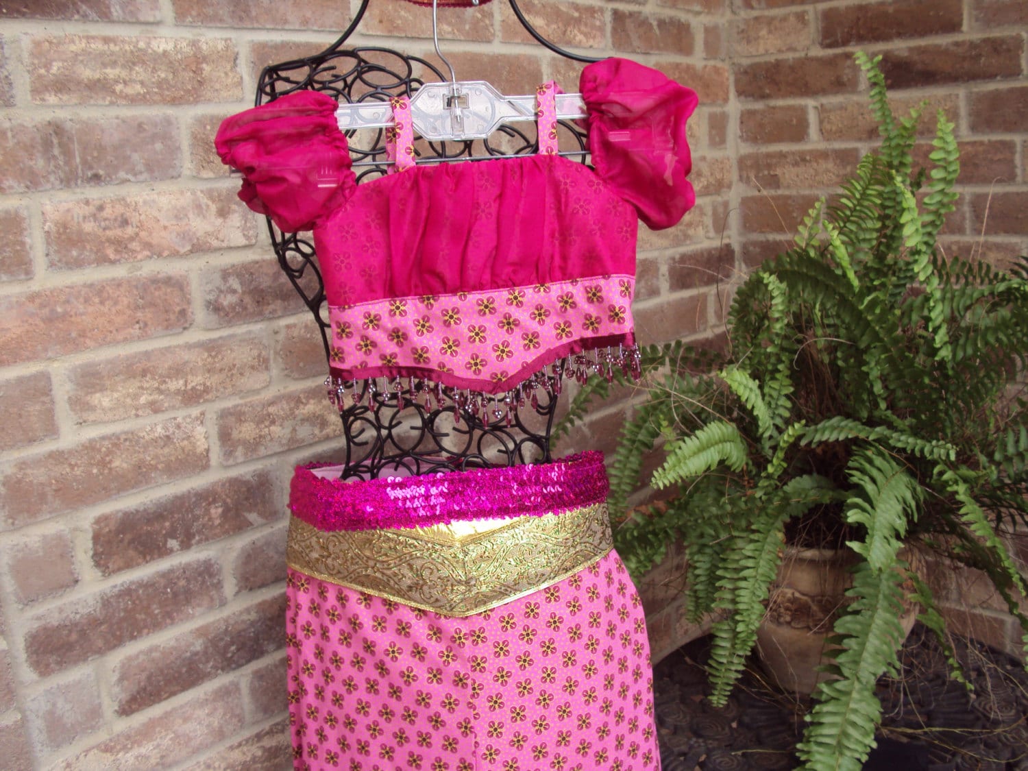 Jazmin Inspired Costume: Raspberry Chiffon Harem Pants Outfit - Size 3