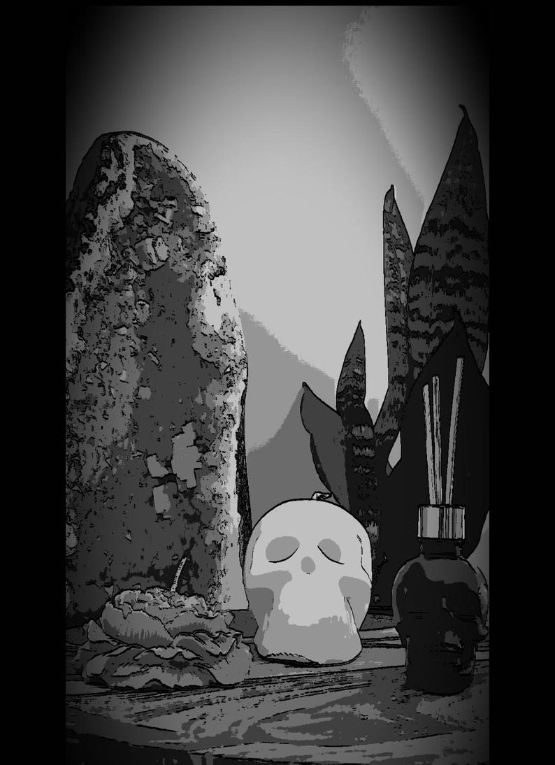 May include: A black and white image of a skull, a plant, and a diffuser bottle. The skull is made of ceramic and has a smooth surface. The plant is a snake plant with long, narrow leaves. The diffuser bottle is made of glass and has a black label. The items are arranged on a wooden surface.