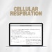 Cellular Respiration Study Notes for Introductory Biology handwritten ...