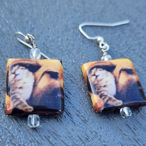 Decoupage Cat and Dog Earrings, Pet Dangle Earrings Tabby Cat and Bloodhound Animal Friends