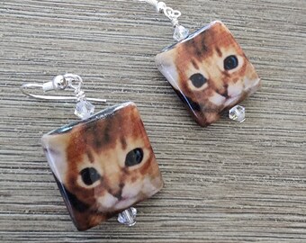 Decoupage Orange Cat Earrings, Pet Dangle Earrings