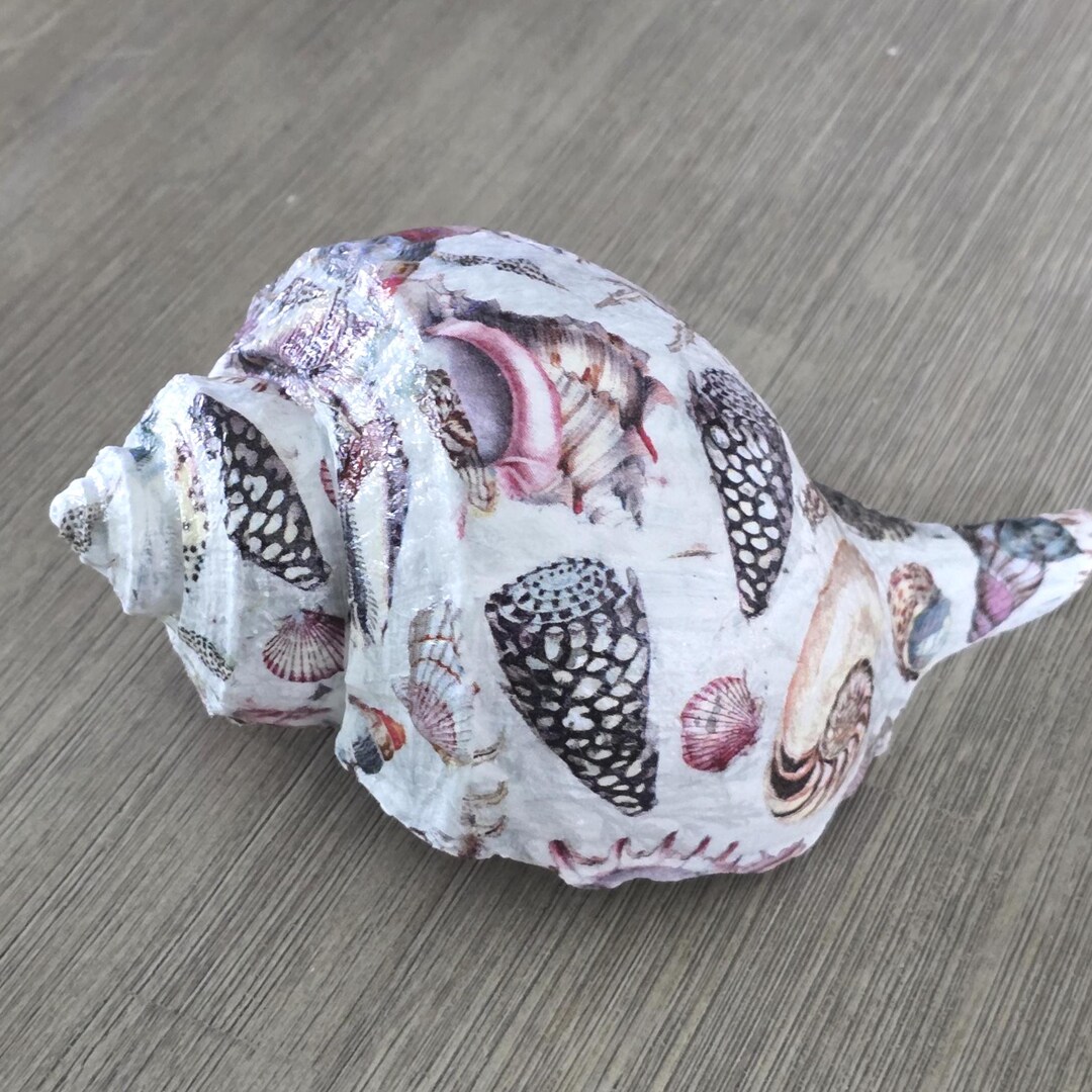 Coastal Whelk Shell Decoupage Shell Design Home Decor - Etsy