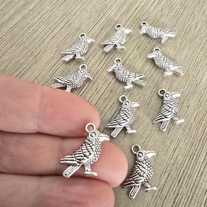 May include: A collection of silver-colored raven charms. Each charm is detailed with feathers and a small loop for attaching to jewelry or crafts. The ravens are standing, with their beaks slightly open.
