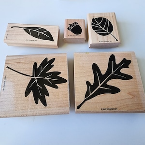 Stampin Up Autumn Fest 5 Piece Gently Used Set