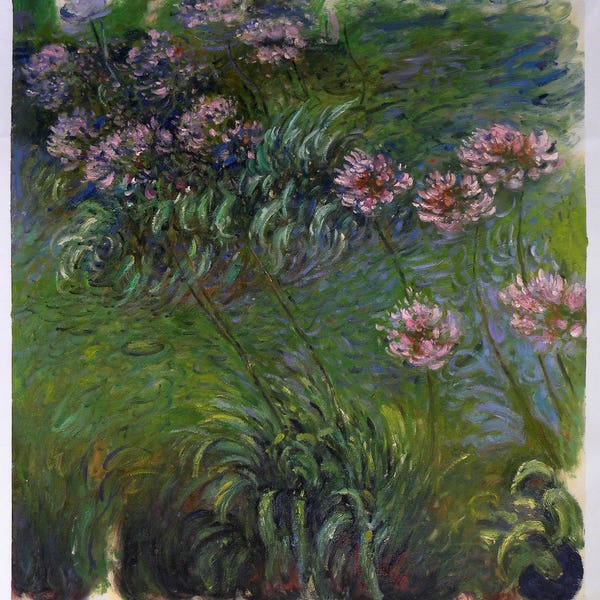 Agapanthus - Claude Monet hand-painted oil painting reproduction, lily of Nile,African lily in the UK,living room large wall art decorations