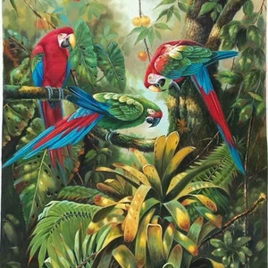 Beautiful Wild Parrots in Jungle Swamp Fruit Trees High - Etsy