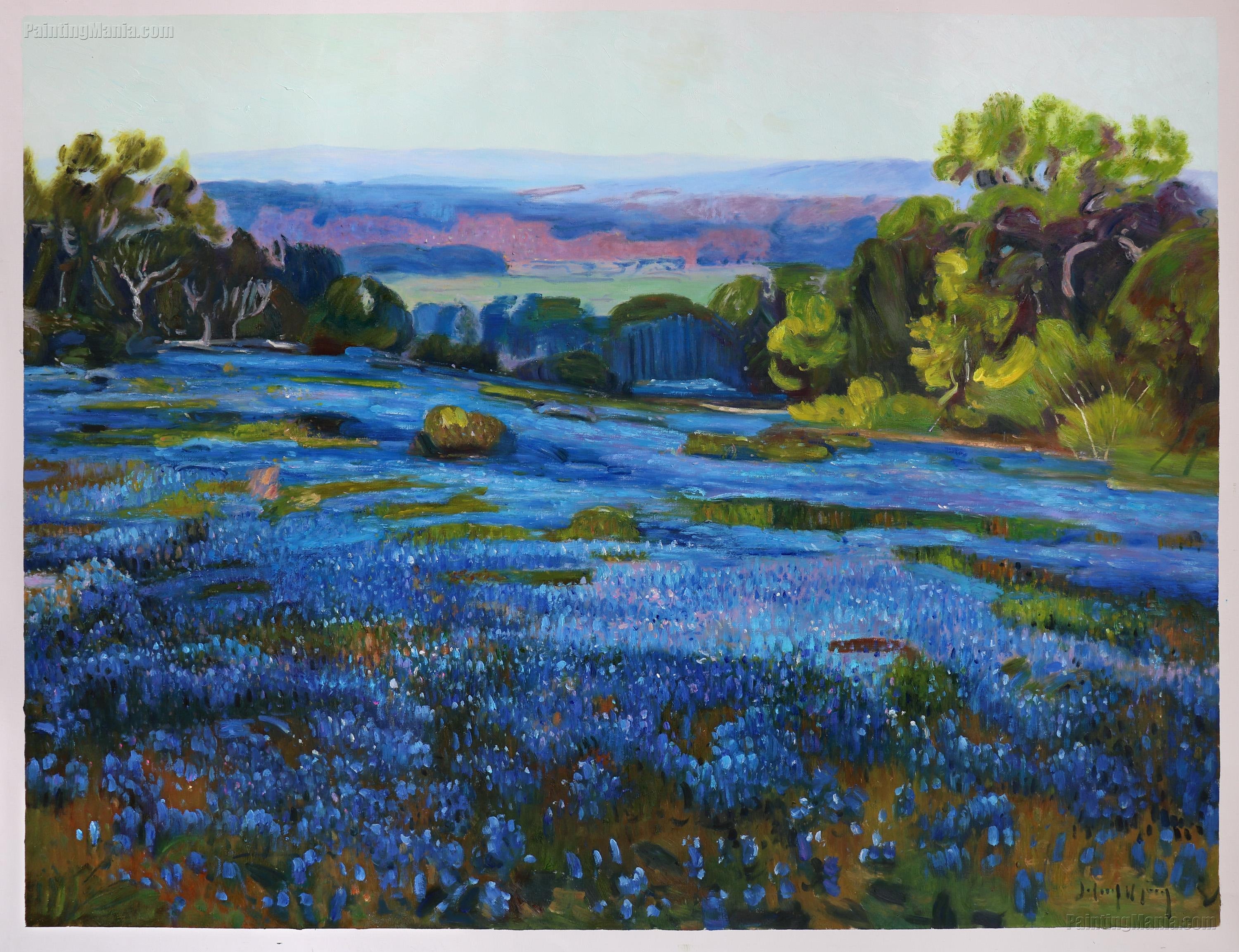 Bluebonnets, Late Afternoon, North of San Antonio - Julian