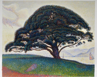 The Bonaventure Pine in Saint-tropez - Paul Signac Hand-painted