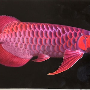 Red Dragon Fish - high quality hand-painted original oil painting, Scleropages legendrei, Asian Arowana, Red Arowana,Beautiful Tropical Fish