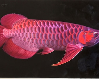 血紅龍　アロワナ　アクリルガッシュ　絵画　版画 レッドドラゴンフィッシュ - 高品質の手描きのオリジナル油絵