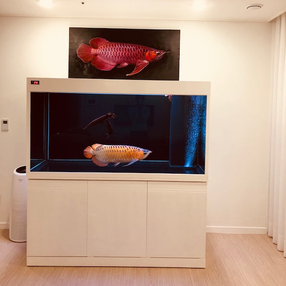油彩画 魚の群れ m85367185921_1.jpg?1662848243