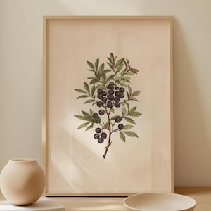Vintage Berry Botanical Art Print | Digital Download Wall Decor | Rustic Farmhouse French Country Printable Botanical Illustration