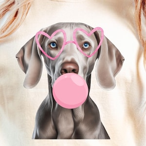 May include: Cream-colored t-shirt featuring a Weimaraner dog with pink heart-shaped glasses and a pink bubble gum bubble. The dog has blue eyes and gray fur. The shirt is a casual, everyday wear item.