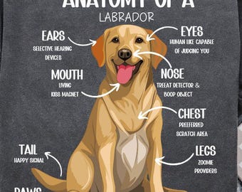 Labrador Dog Lover PNG, Funny Dog Clipart, Humor Dog Shirt Design, Pet Sublimation, Dog Mom Gift, Dog Dad, Birthday Gift For Dog Owner