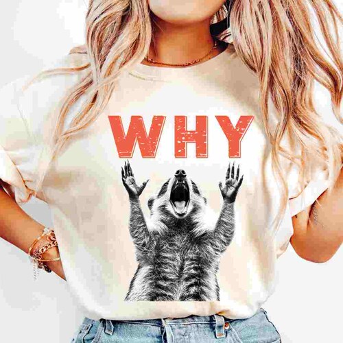 Funny Racoon Monday Why Png, Back To School Work Humor Shirt Design (Digital Download)