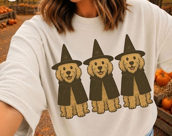 Goldendoodle Witchy Trio Dog Mom Halloween Png Witch Pumpkin Doodle Mama Descarga digital Otoño Temporada acogedora Camiseta DTF Sublimación