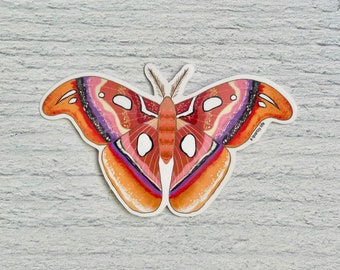 Brown Moth Sticker | Butterfly Moth Decal