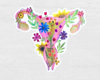 Uterus Sticker | Female Anatomy Nurses Illustration Decal for Car, Water Bottle