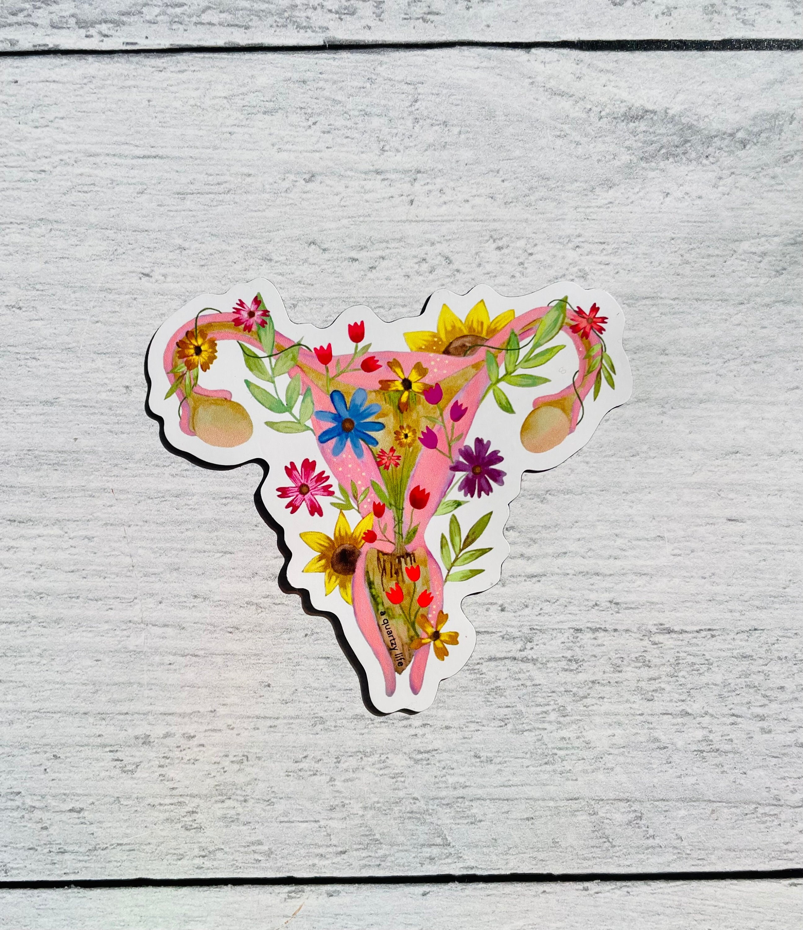 Uterus Magnet